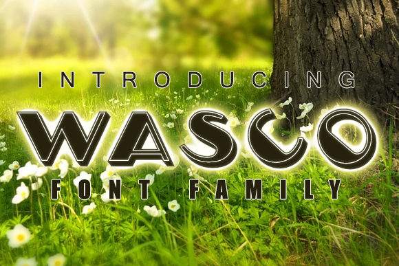 Wasco Font: A Casual Display Typeface for Small Business Branding